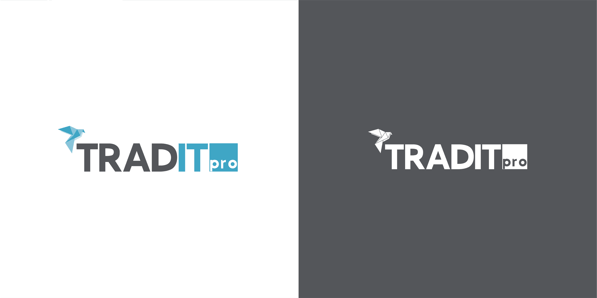 Branding Tradit Pro - Imagen 9